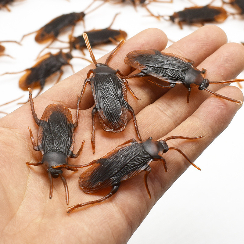 Title 1, Simulated Cockroach April Fool