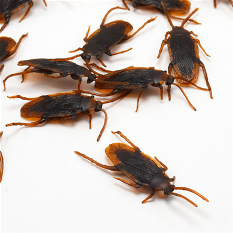 Title 3, Simulated Cockroach April Fool