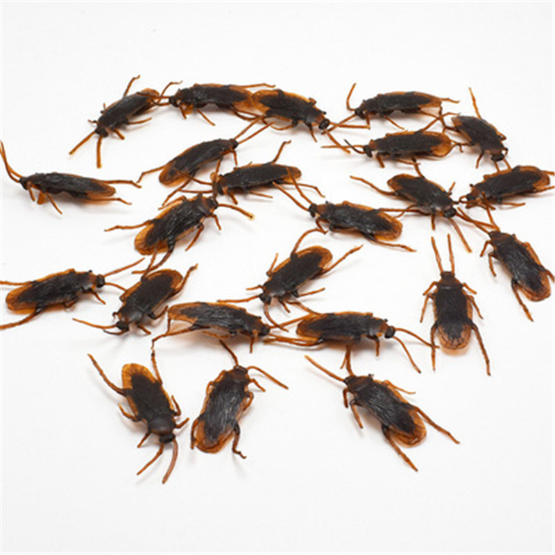 Title 4, Simulated Cockroach April Fool