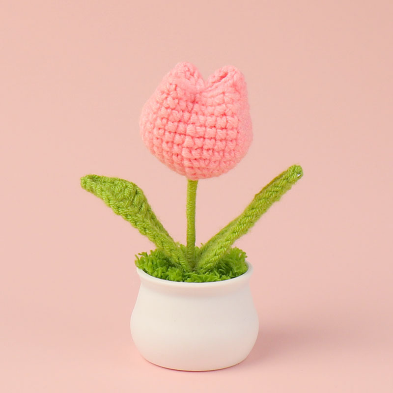 Title 8, Finished Handmade Crocheted Wool Tulip Small Po...