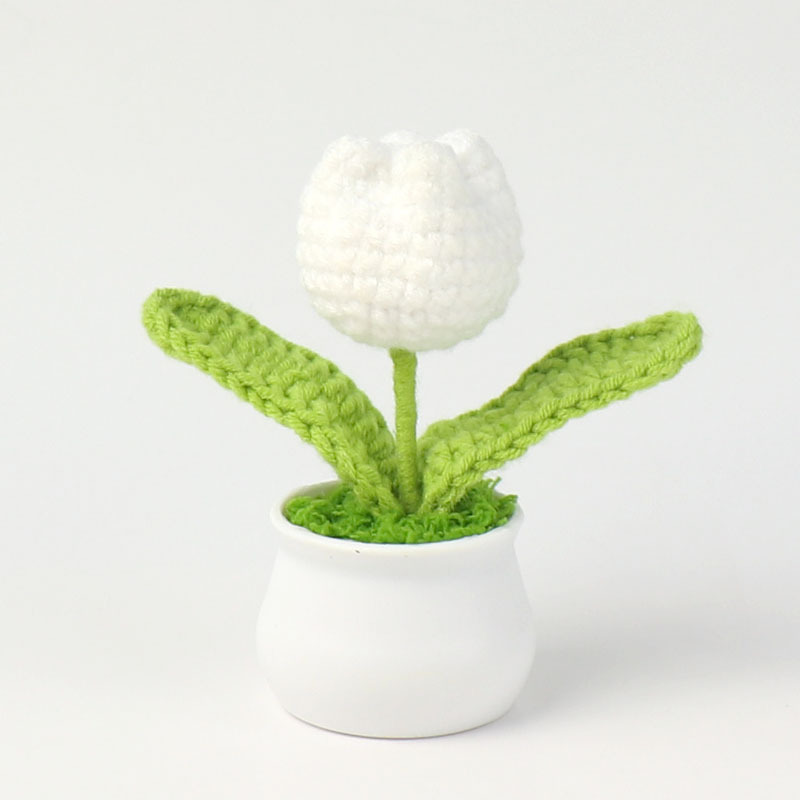 Title 9, Finished Handmade Crocheted Wool Tulip Small Po...