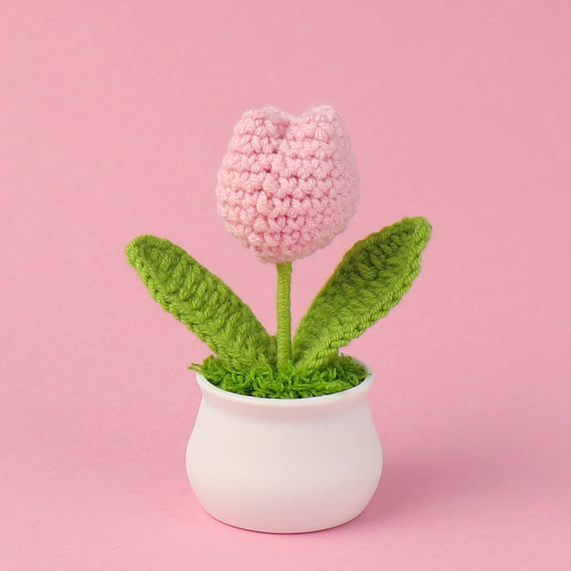 Title 10, Finished Handmade Crocheted Wool Tulip Small Po...