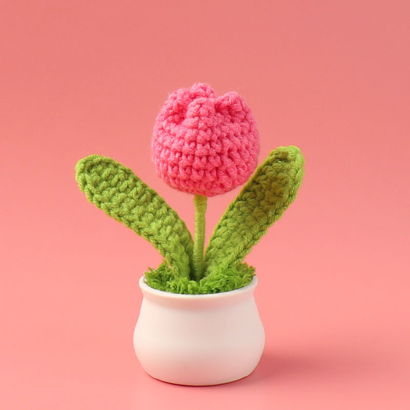 Title 14, Finished Handmade Crocheted Wool Tulip Small Po...