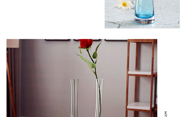 Title 11, European Creative Glass Transparent Flower Vase...