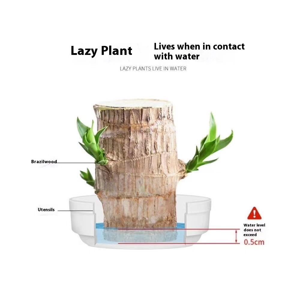 Title 5, Desktop Liren Green Plant Pot Living Room Interior