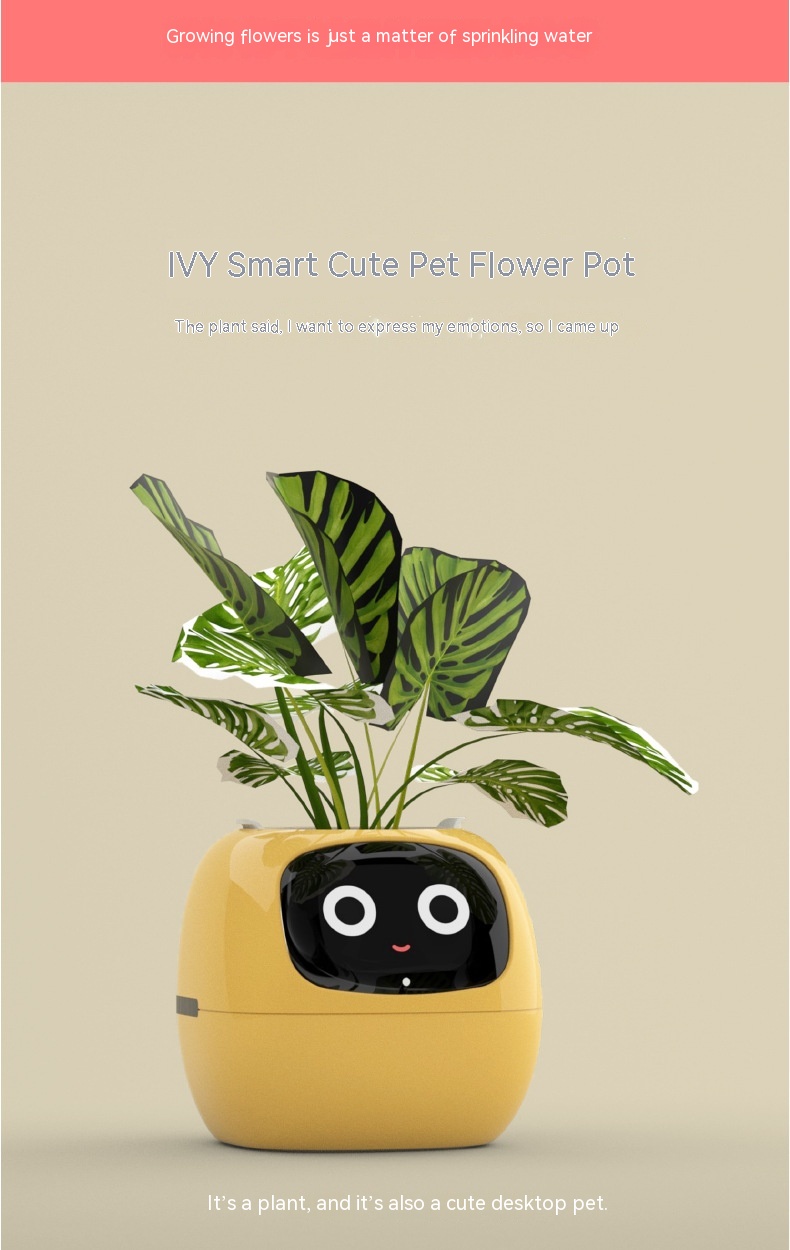 Title 2, Smart Planter