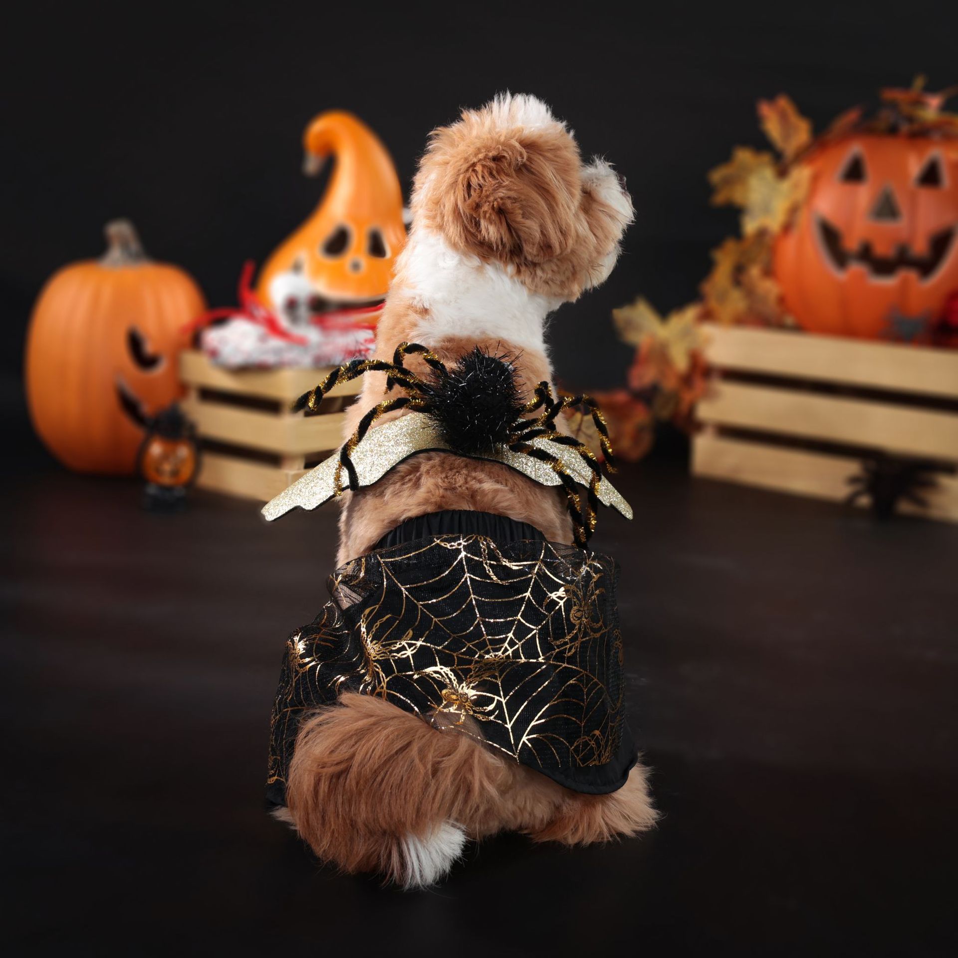 Title 4, Costume de chien pour Halloween Fête Vêtements ...