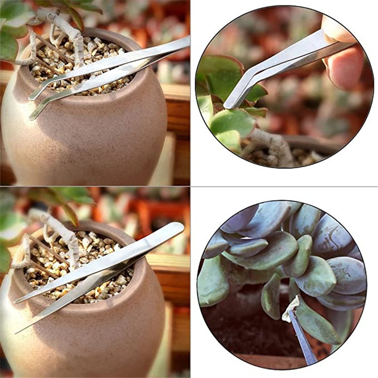 Title 3, Succulent Tools Suit Combination Plant Flower G...