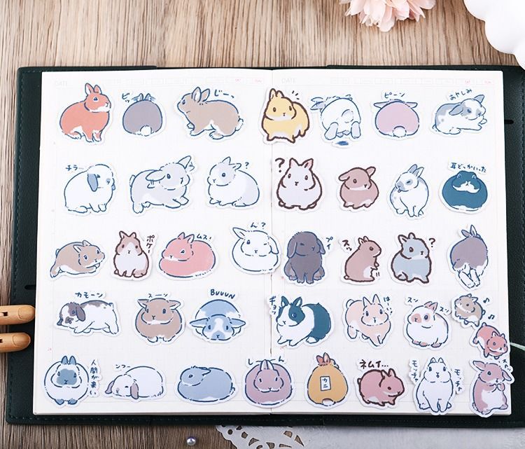 Realistic Rabbit Stickers | 39Pcs Cute Set