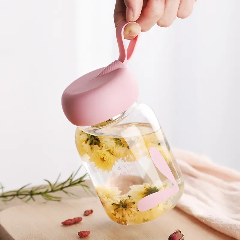 Home Portable Cute Transparent Glass Cup