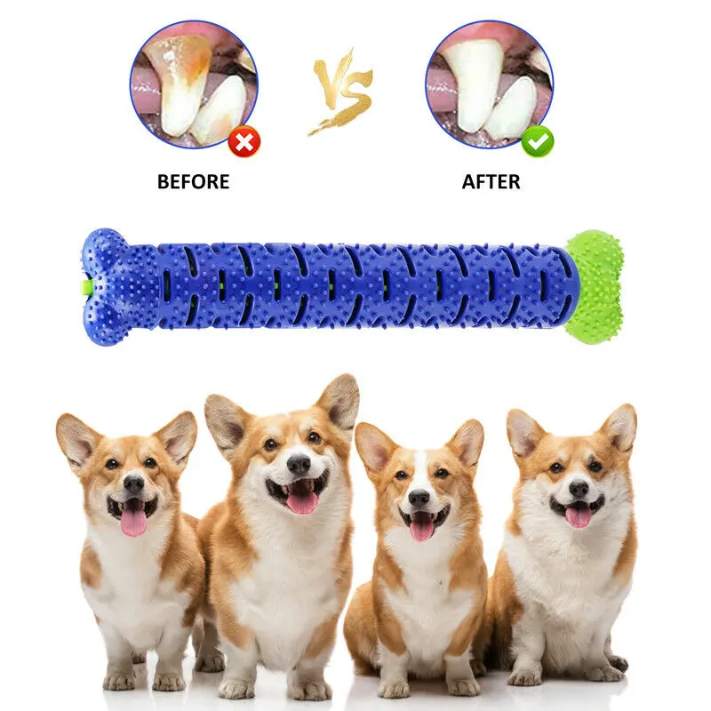 Dog Chew Toys Toothbrush Pets Molar Tooth