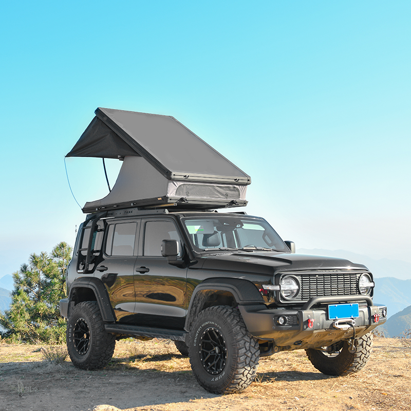 Roof Top Tent Hardshell Rooftop Tent For Van SUV Truck Car Overland Tent Camping For 2-3 Person With Ladder