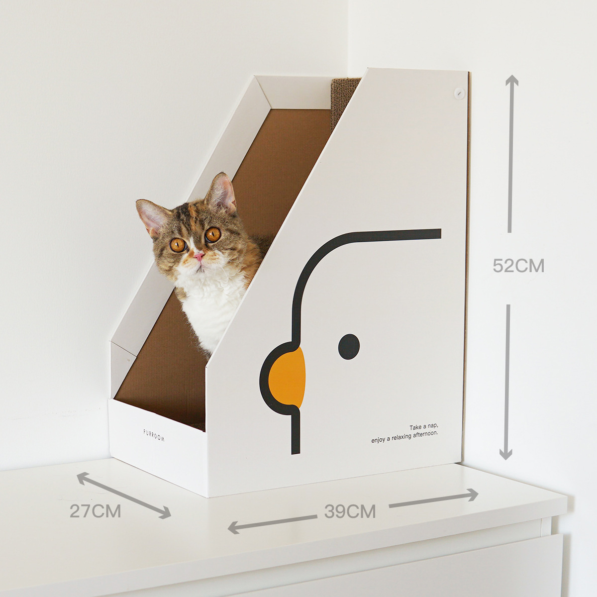 Book box cat grasping board