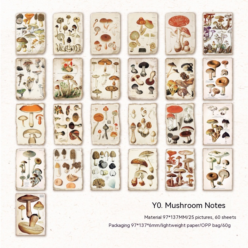 Mushroom Notes