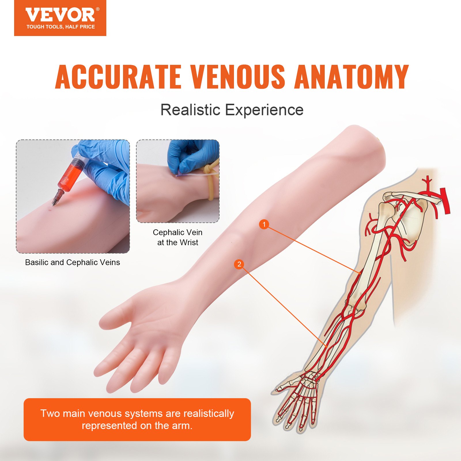 Phlebotomy Practice Kit, IV Venipuncture Intravenous