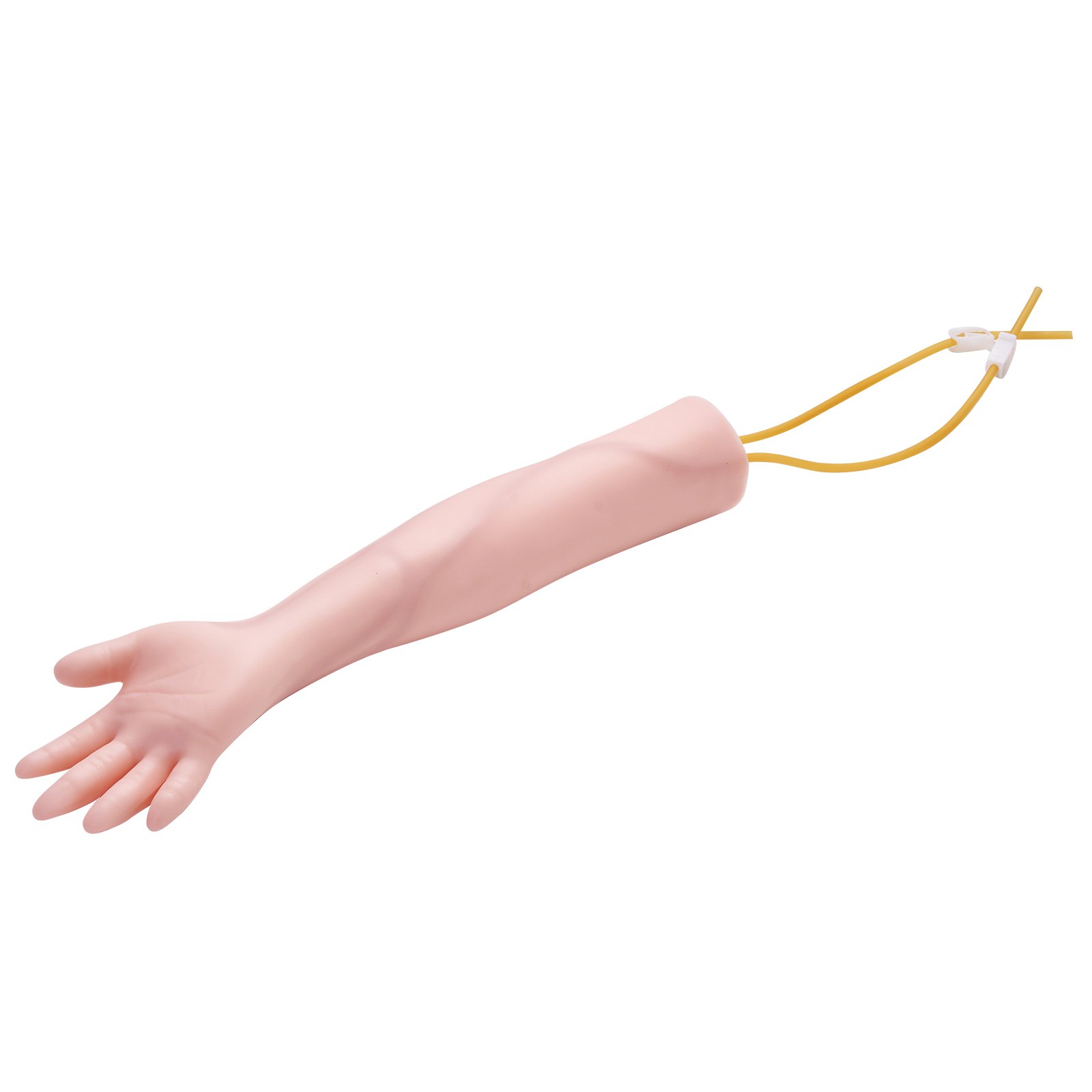 Phlebotomy Practice Kit, IV Venipuncture Intravenous