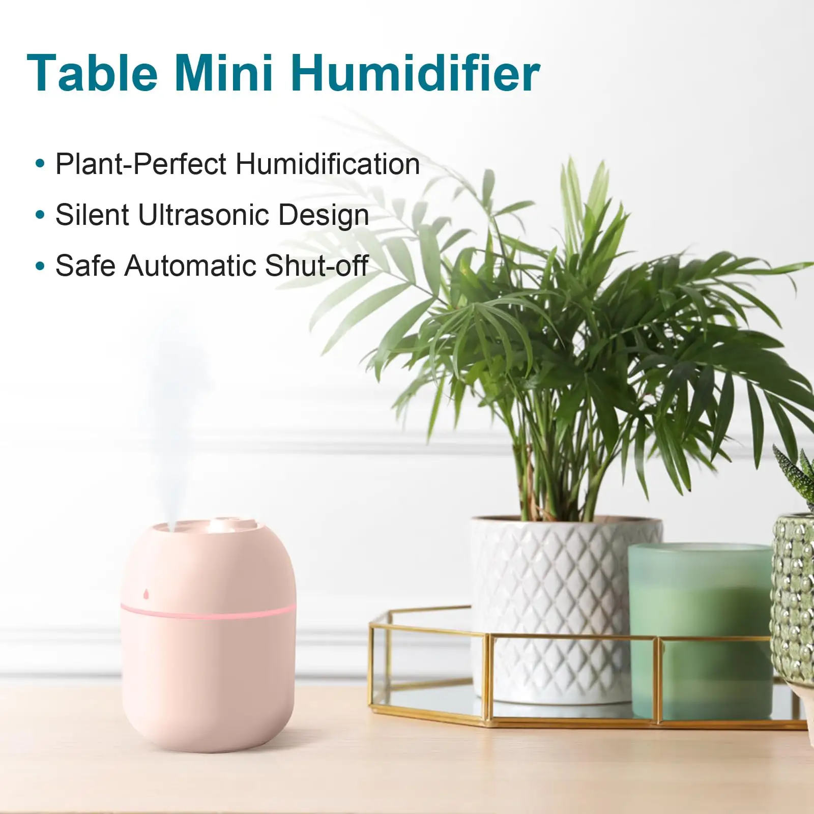 Portable Mini Humidifier, 220ml, Small Cool Mist