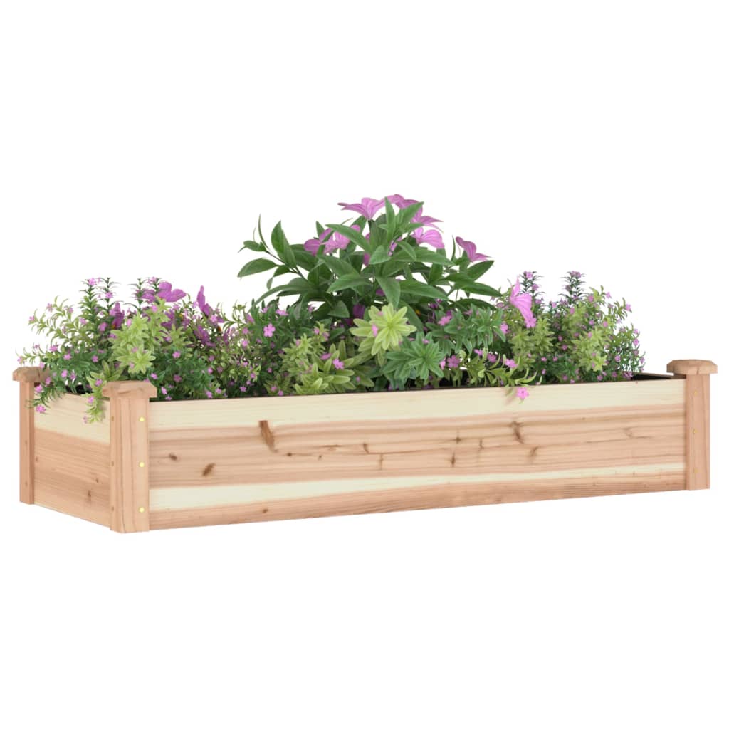 Raised Garden Bed with Insert