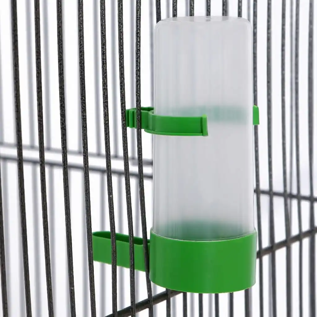 Birdcage 54x