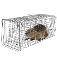 Humane Cat Trap Cage Catch Release Live Animal Rodent Cage Collapsible Galvanized Wire For Raccoons Beavers Groundhogs Foxes Armadillos - Cage - View 1