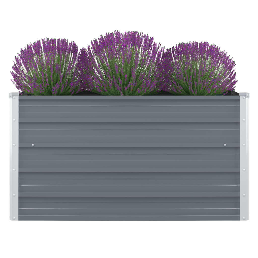  Raised Bed 100 x Galvanized   Raised Bed 100