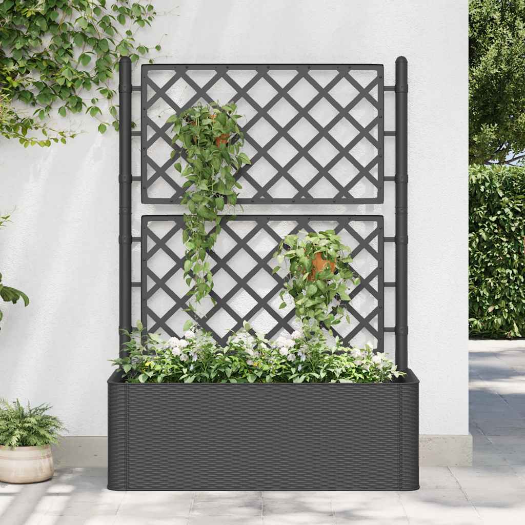   Raised Garden Bed with Trellis and Self-Watering System, Anthracite