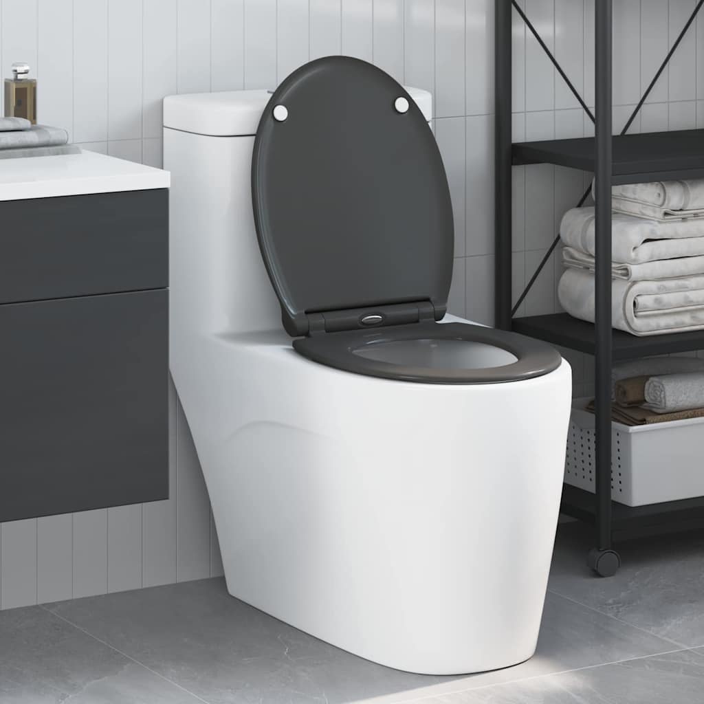   toilet with quick-release fastener, suitable for anthracite seat