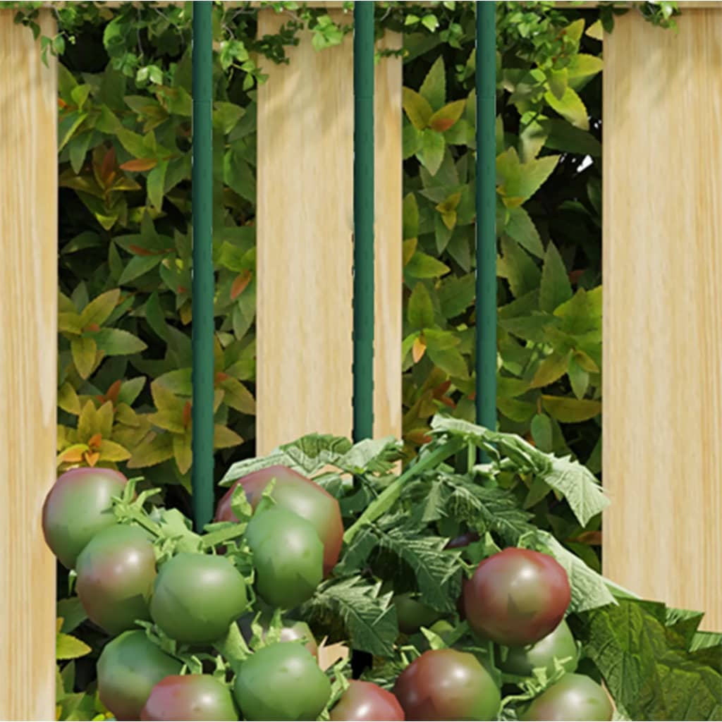 Plant Supports 30 pcs. 115 cm   Plant Supports