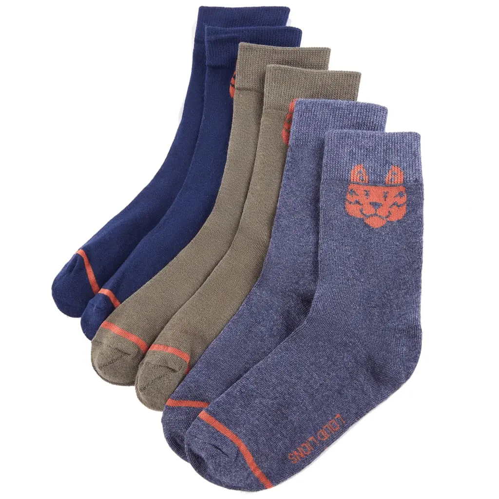Children's socks EU 26-29 5 pairs