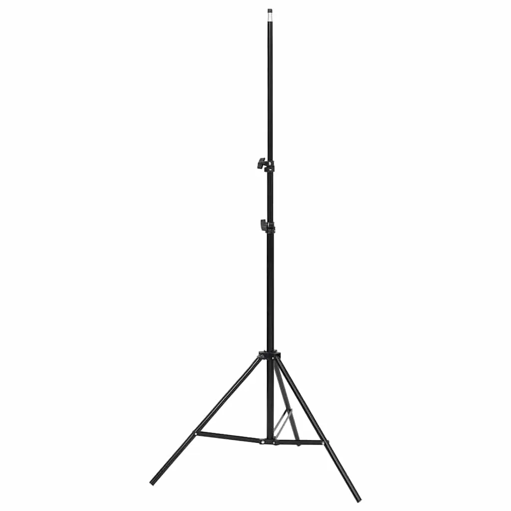 Professional Studio Light