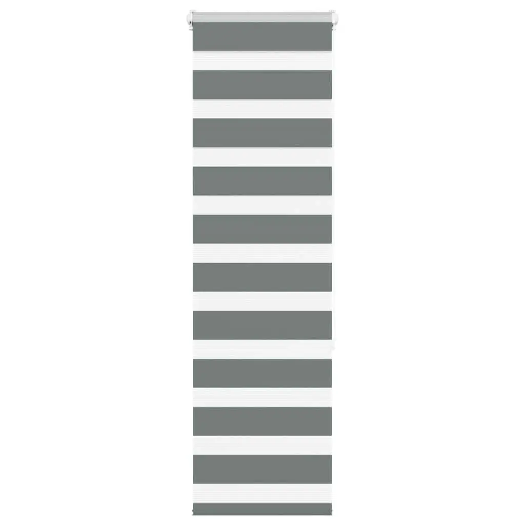 Zebra Roller Blind, Fabric Width 35.9 cm