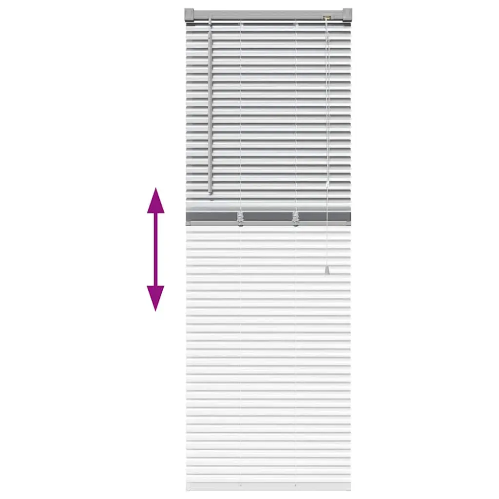 window blind with curtains, silver;   window blind with