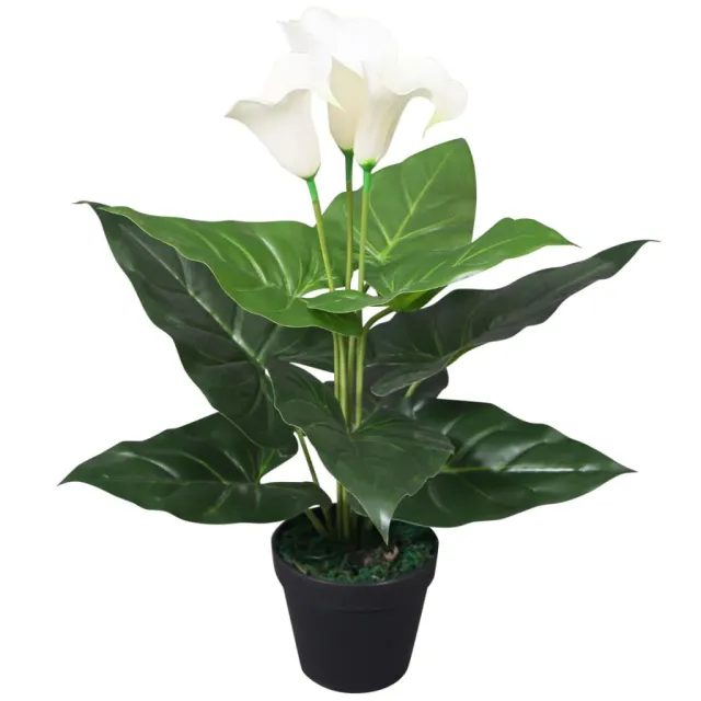 Artificial Calla Lily with Pot 45 cm White - Shop at LoveMi