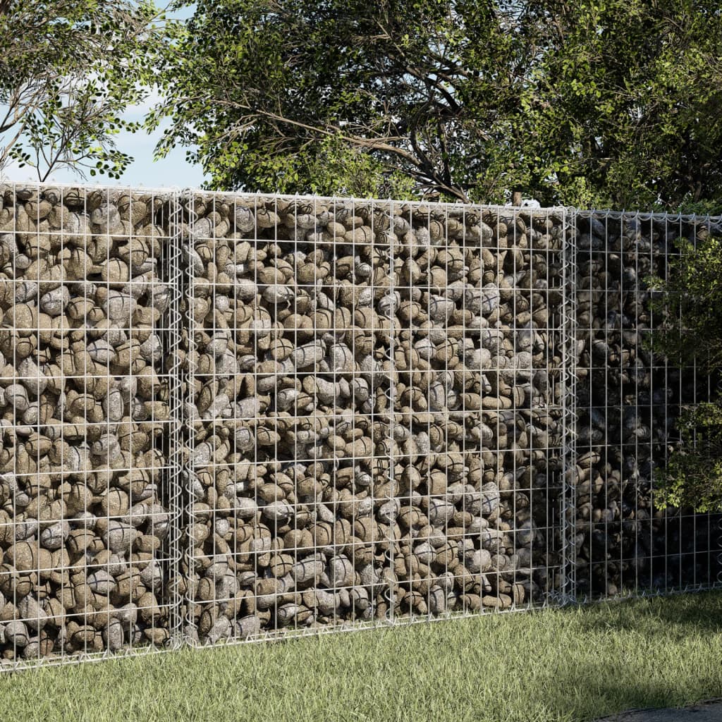   Gabion with Lid 100x Galvanized Iron  