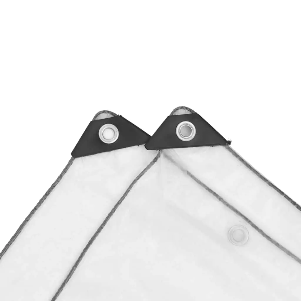 Transparent Tarpaulin with Eyelets 1x2 m Polyethylene