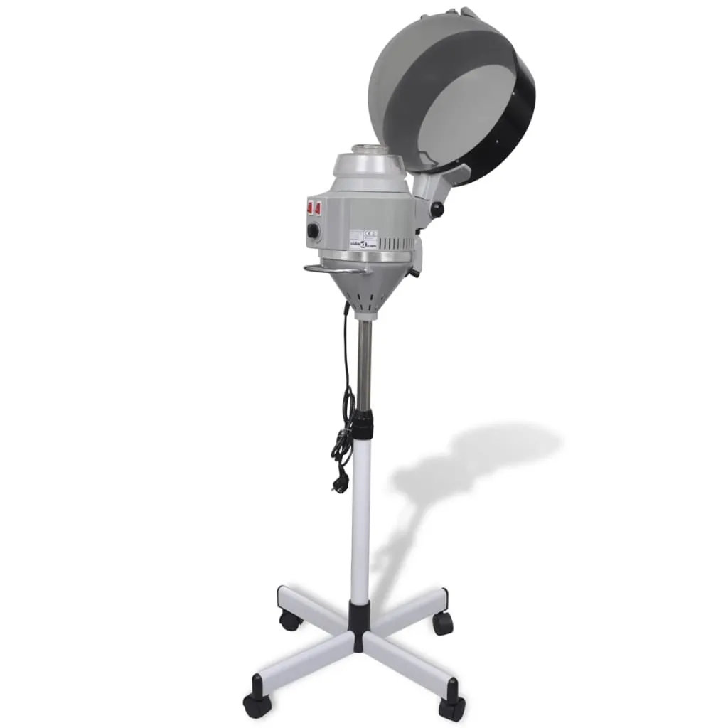 Hair steamer for mobile use