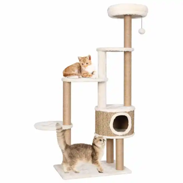 Cat Tree with Luxurious Cushion 148 cm Seagrass - Shop at LoveMi