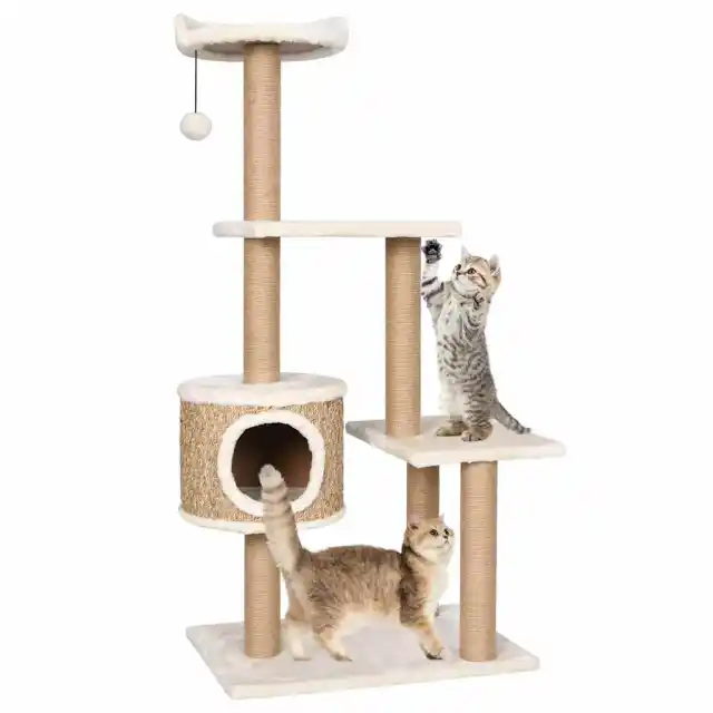 Cat Scratching Post 123 cm Seagrass - Shop at LoveMi