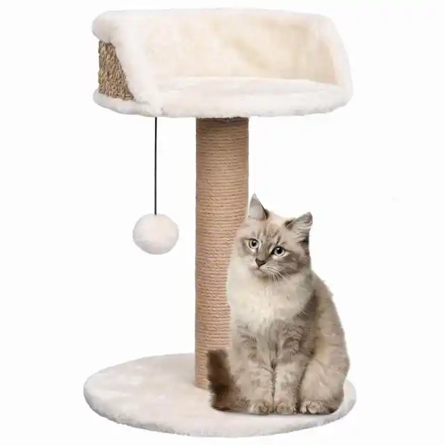 Cat Tree with Scratching Post 49 cm Seagrass Default - Shop at LoveMi