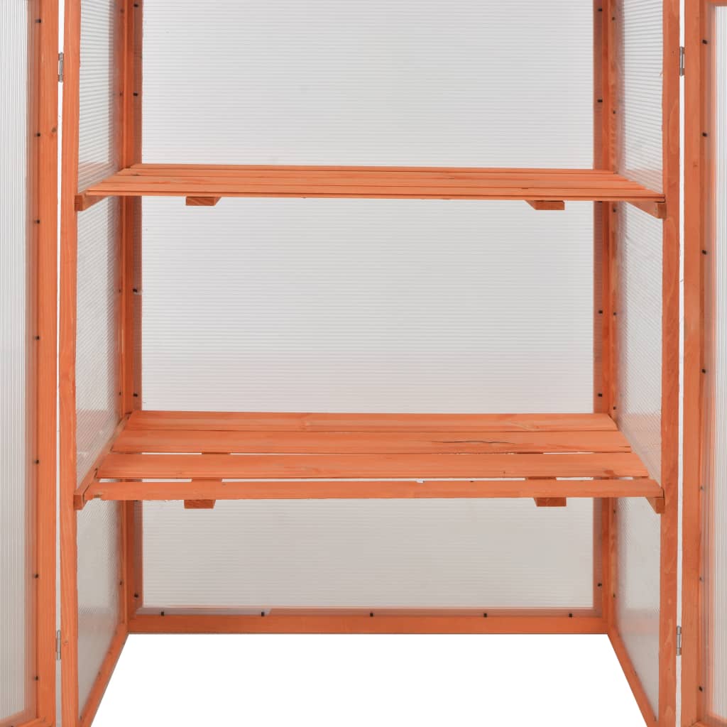 Gewächshaus Aus Holz Mit Polycarbonatplatten Und Zwei Regalen_voghion.com