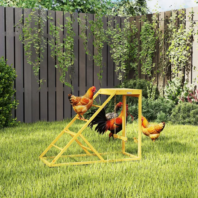 Chicken Activity Play for Healthy & Happy Animals Yellow - Shop at LoveMi