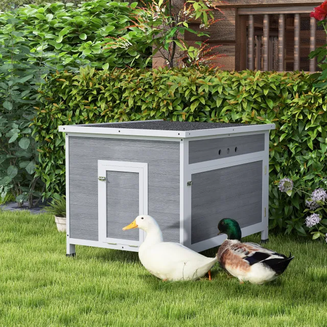 Duck Coop with Openable Roof Light Gray - Shop at LoveMi