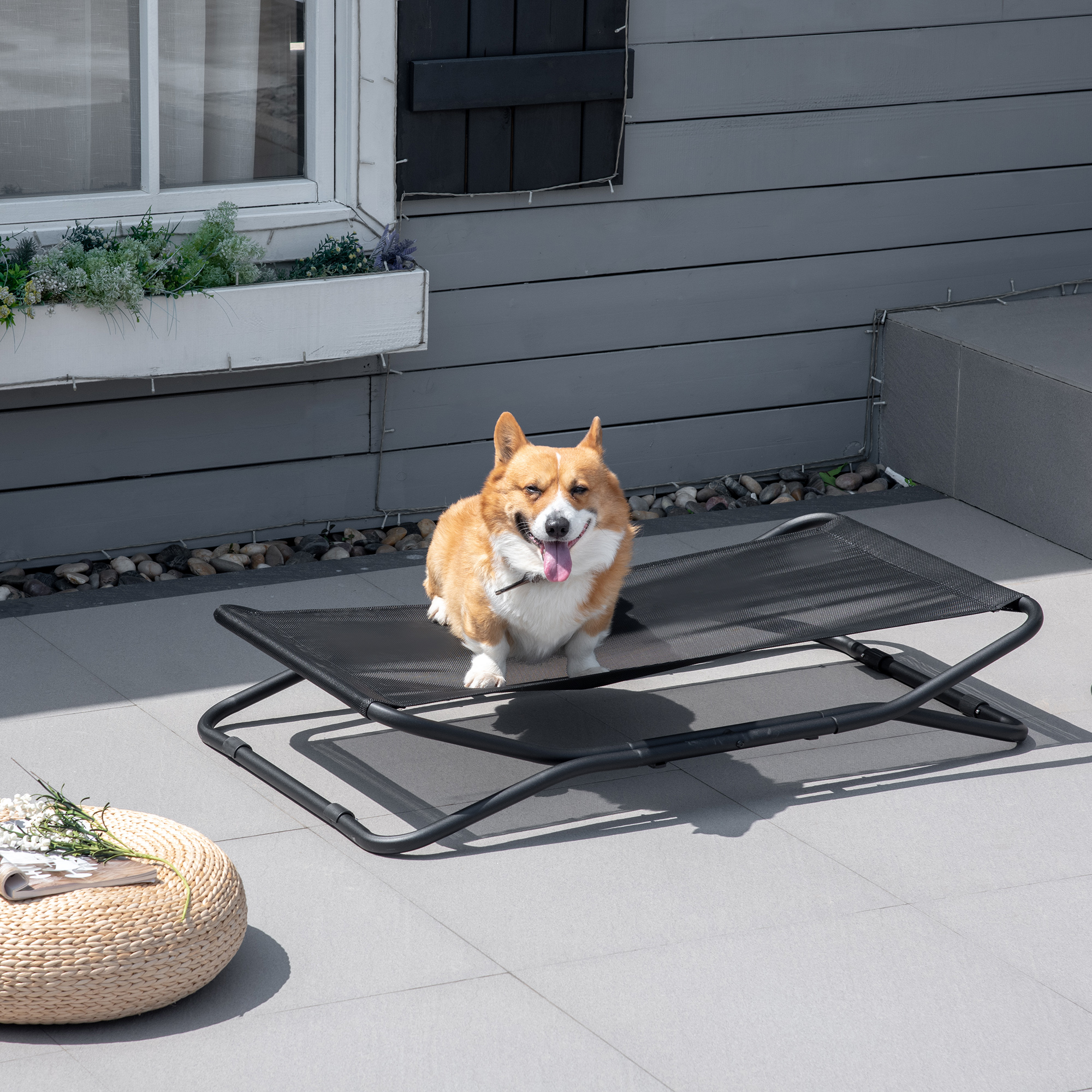 Elevated Dog Bed with Breathable Foldable Pet Cot with Heavy Duty Frame Black - Shop at LoveMi