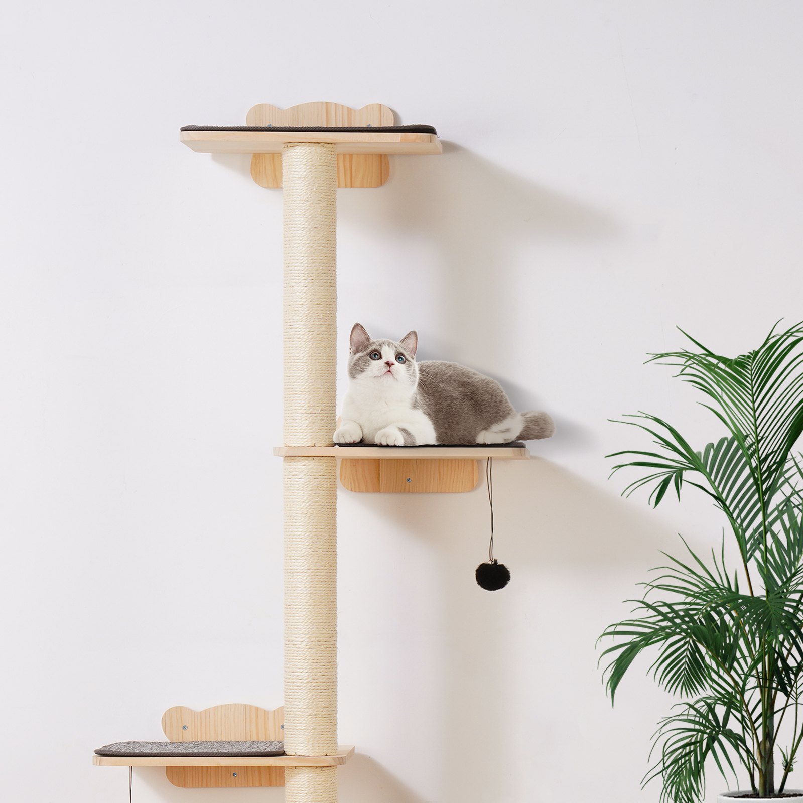 Wall Mounted Cat Shelves Tree With Platform Tree Shaped Cat Furniture Set Natural - Shop at LoveMi