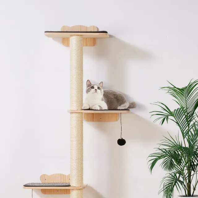 Wall Mounted Cat Shelves Tree With Platform Tree Shaped Cat Furniture Set Natural - Shop at LoveMi
