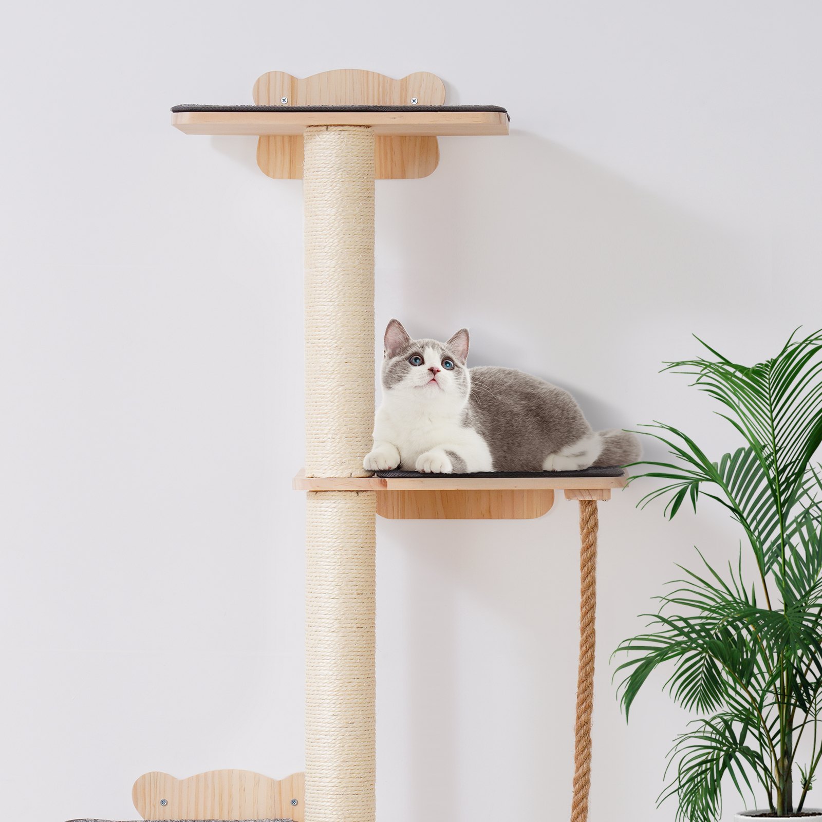 Wall Mounted Cat Shelves Tree With Platform Tree Shaped Cat Furniture Natural - Shop at LoveMi