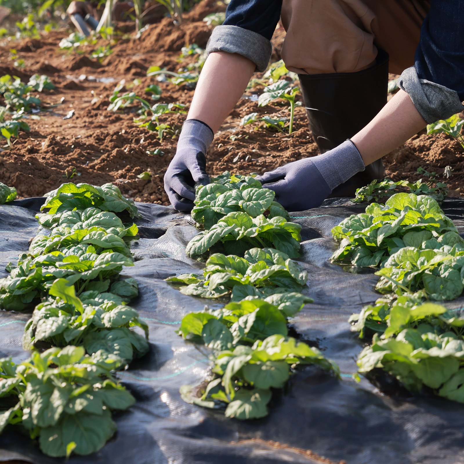 Woven Weed Barrier Landscape Fabric, picture 2 of 2