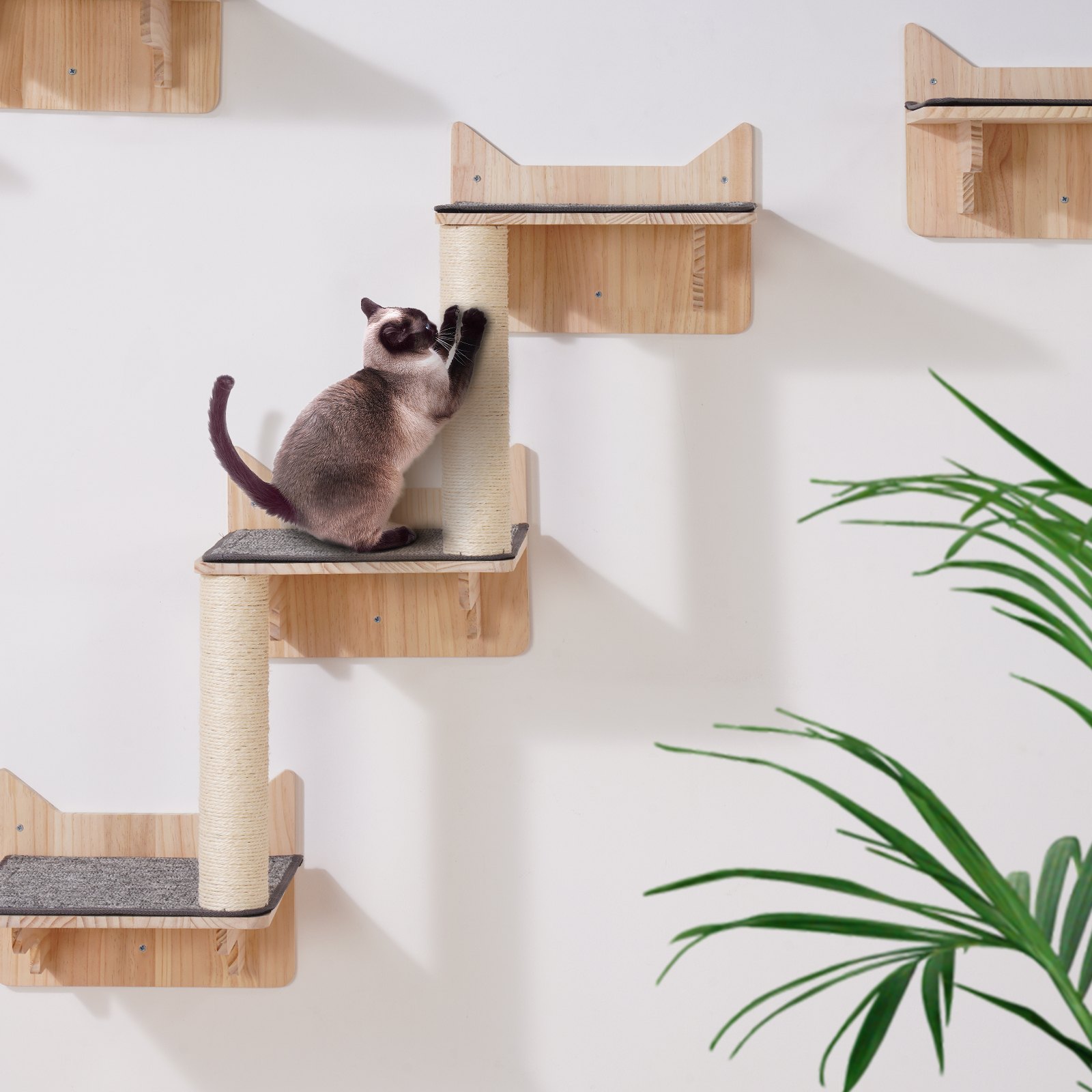 Wall Mounted Cat Shelves Tree With Jumping Boards Nest Furniture Set Of 5 Natural - Shop at LoveMi