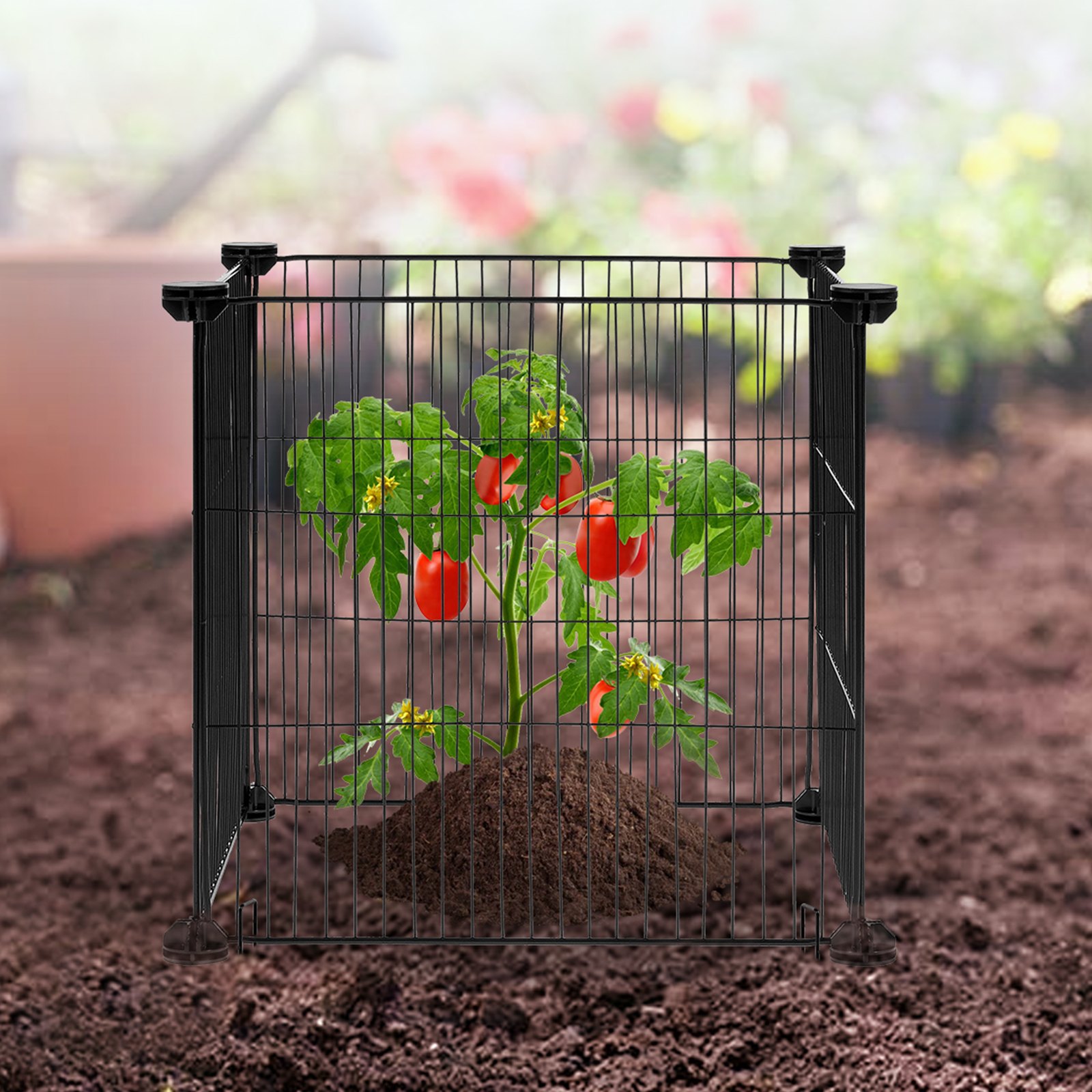 Metal Plant Protector Cage, 5 Pack, picture 2 of 2