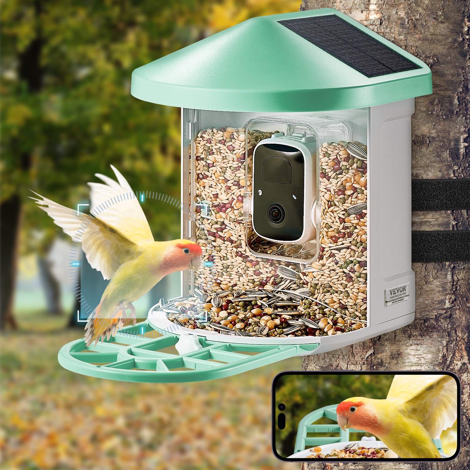Smart Bird Feeder With Camera AI Identify 10000+ Bird Specie Solar Powered Multicolor - Shop at LoveMi